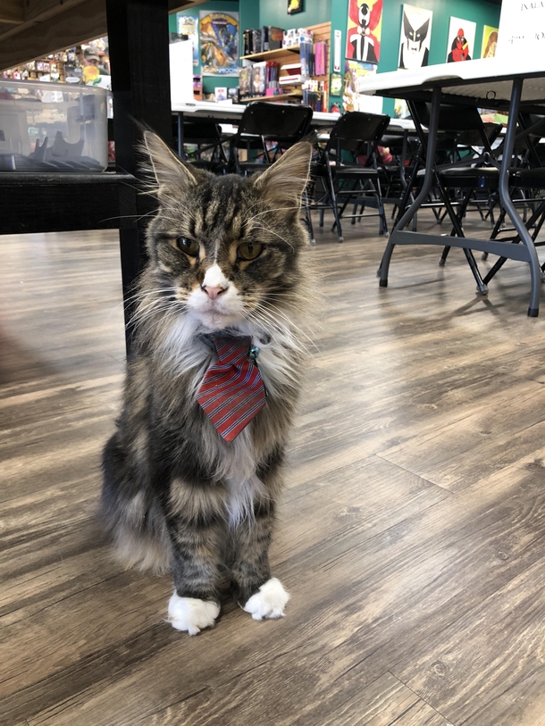 I was in a local DnD store and this dude was chillin there