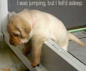 I was Jumping but I felld asleep