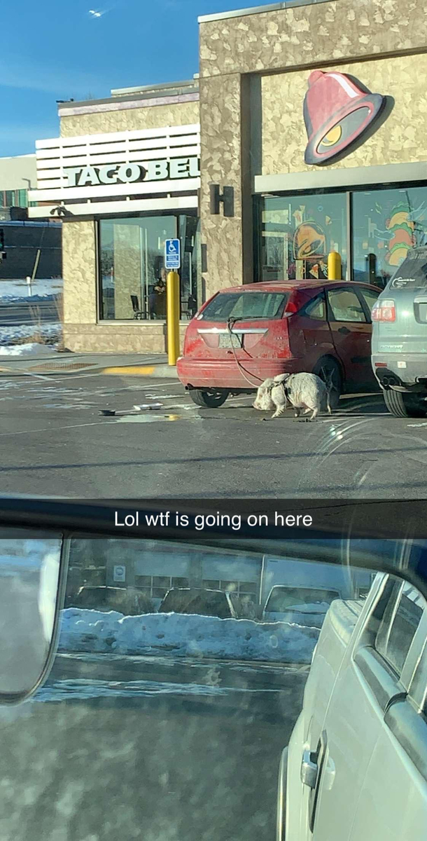 I was just trying to get some Taco Bell breakfast and saw this in the parking lot