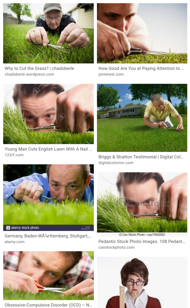 I was learning how to use the word pedantic correctly and there are so many stock photos of insane grass man to help describe it