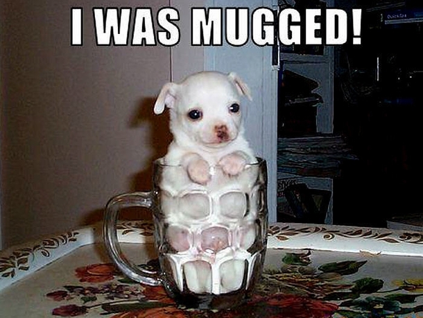 I was mugged