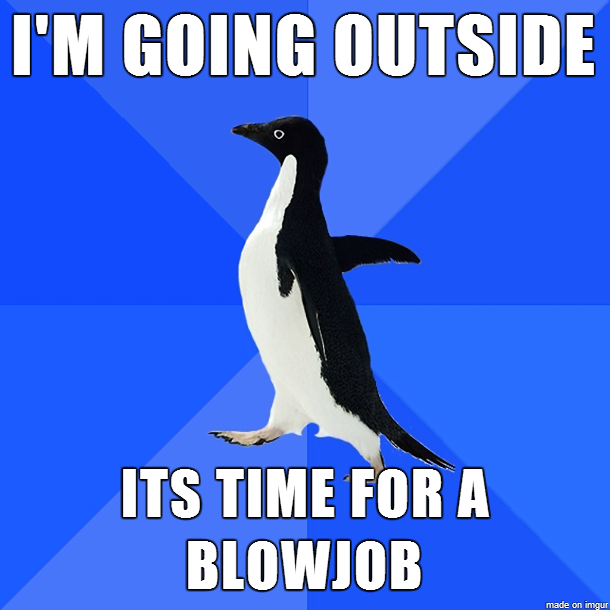 I was really just going to go use the leaf blower but when asked I told my wife this