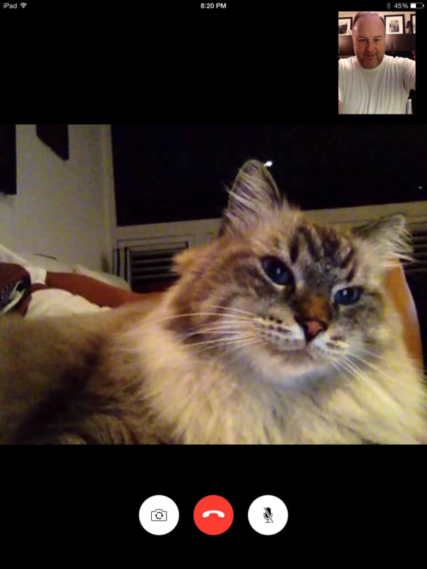 I was slightly surprised to receive an incoming FaceTime from my own laptop