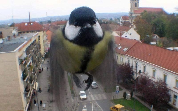 I was taking a picture through my window and this happened