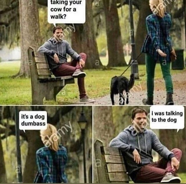 I was talking to the dog