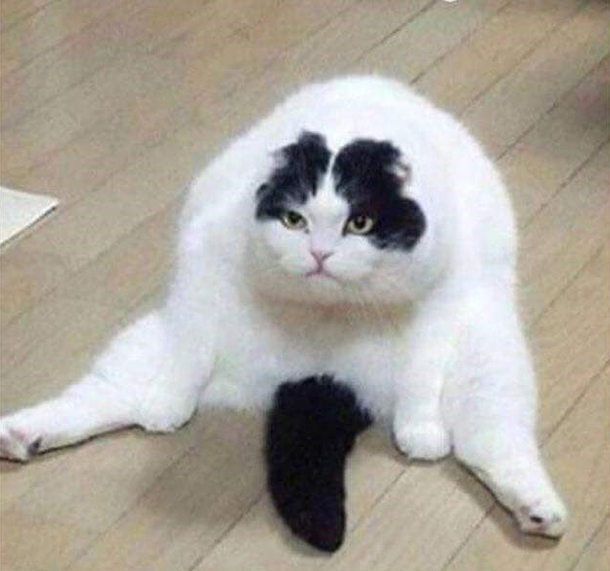 I was told to sit like a lady Hows this