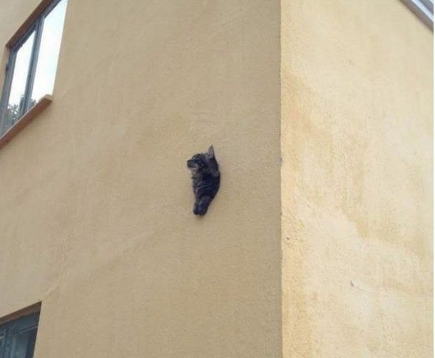 I Was Walking On The Street When I Saw This