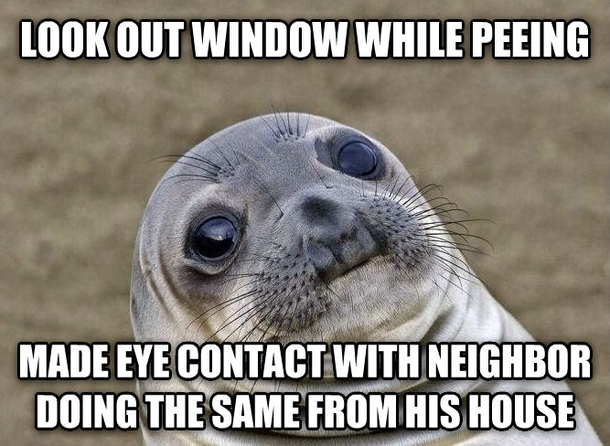 I wasnt sure if I should wave or just hope for a glare on my window