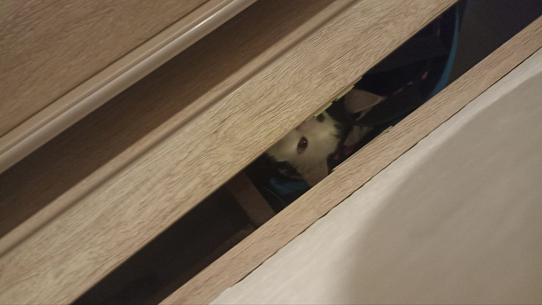 I watch you