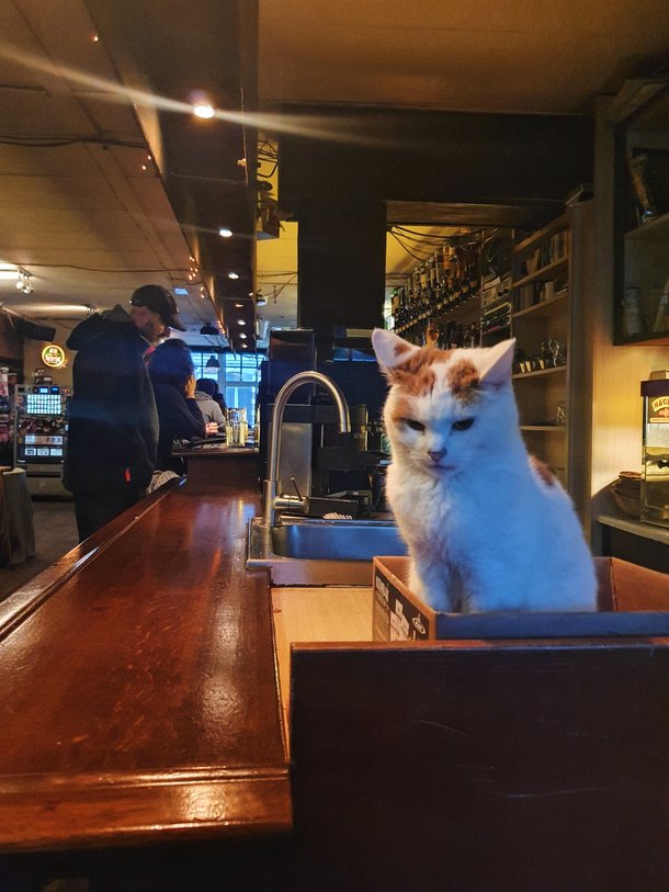 I went to a grunge bar in Amsterdam and found this guy just sitting in a rage