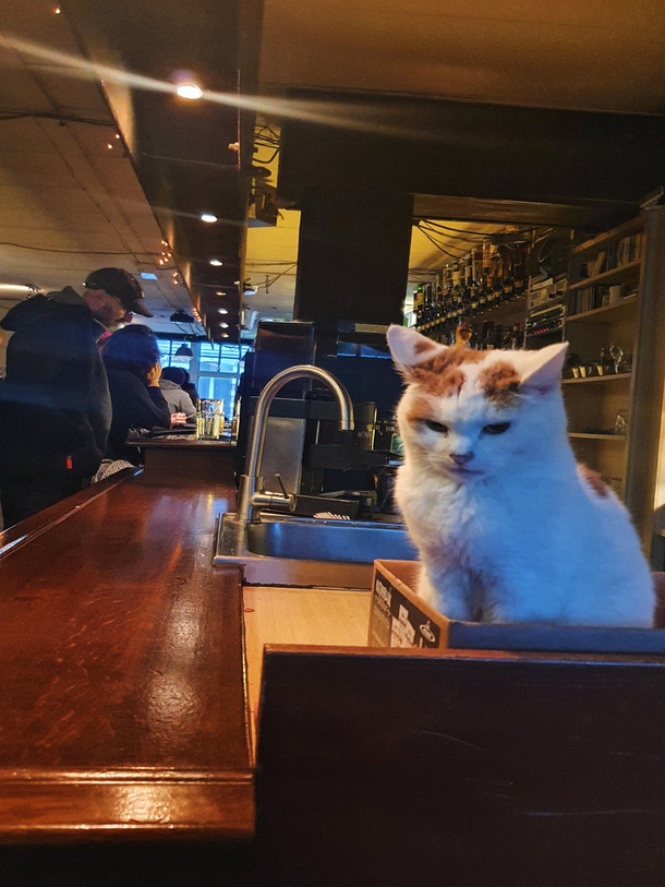 I went to a grunge bar in Amsterdam and found this guy just sitting in a rage