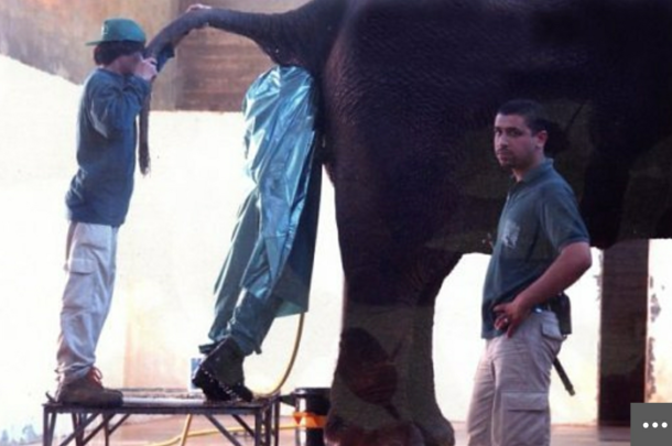 I will never complain about my job again