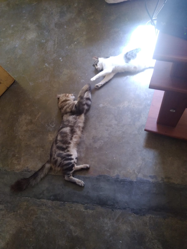 I will save you