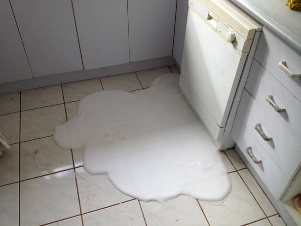 I wish someone wouldve told me I cant use dish-washing soap in the dishwasher