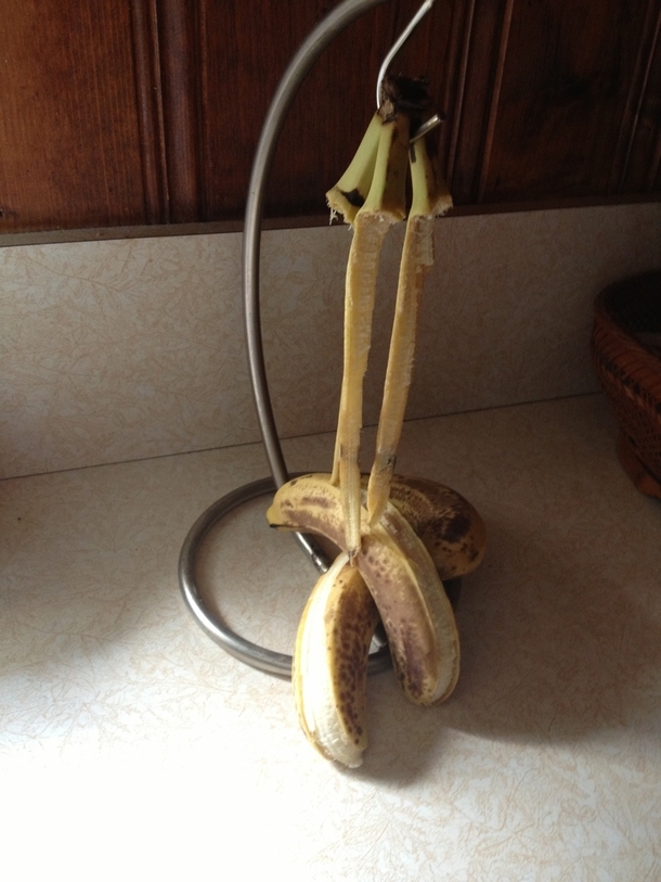 I woke up to find that my bananas had committed suicide