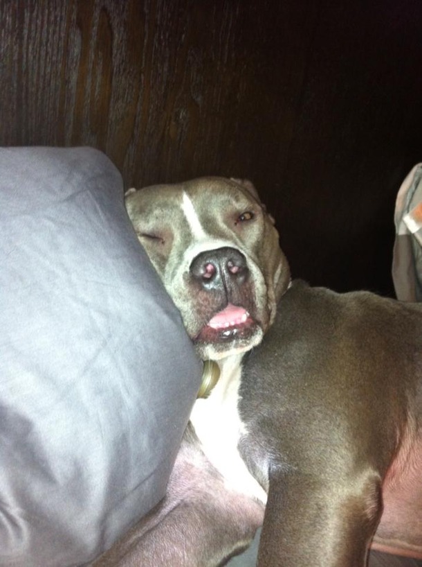 I woke up to the warm breath on my neck and the nails softly scratching my back I turn around to embrace my love