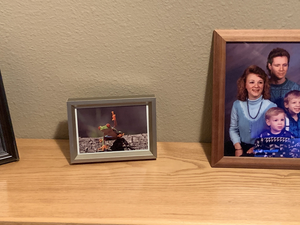I wonder how long until my wife will notice