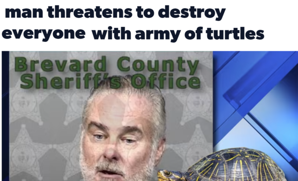 I wonder how many turtles it would actually take to destroy everyone