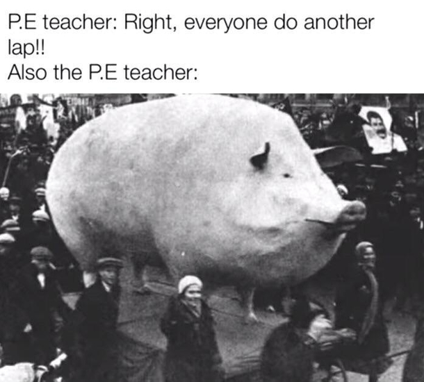 I wonder how theyre PE teachers in the first place