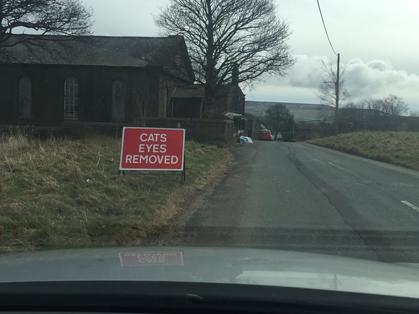 I wonder if they get much business