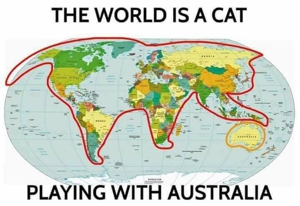 I wonder what breed it is