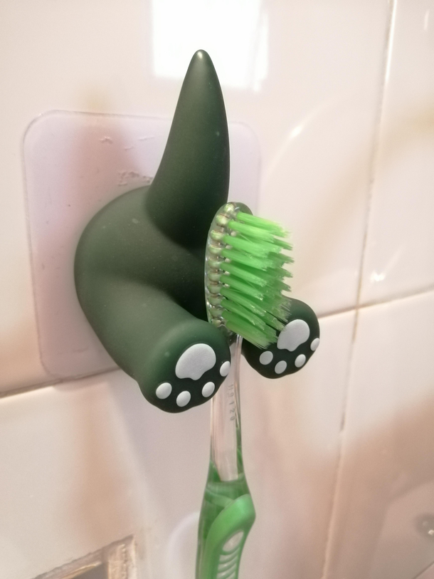 I wonder who came up with this idea of a toothbrush holder