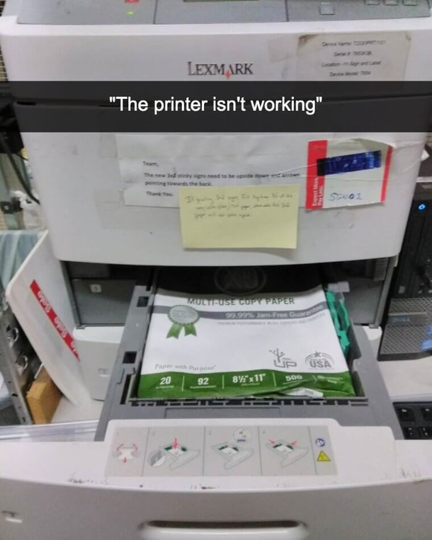 I Wonder Why
