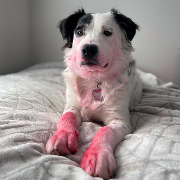 I wont name names but looks like SOMEONE ate their moms lipstick