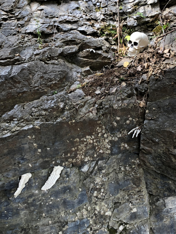 I work at a cave and they put me in charge of decorating for Halloween Probably a mistake on their part
