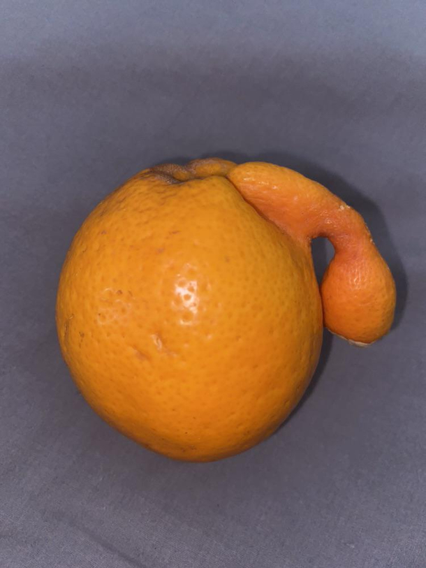 I work on an orange orchard this guy made my day