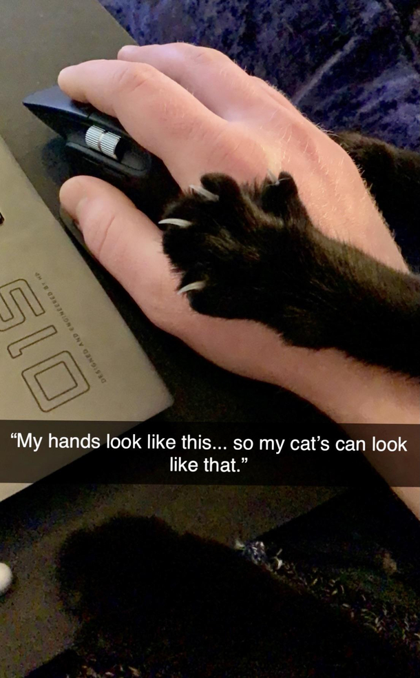 I work so my cat doesnt have to Wish he would though - rents due
