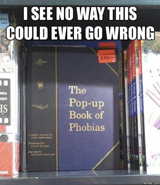 I would buy this