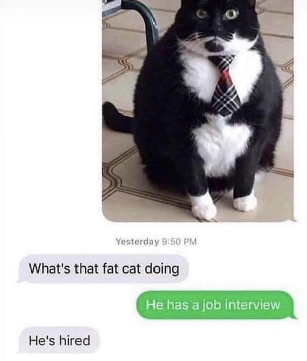 I would hire him