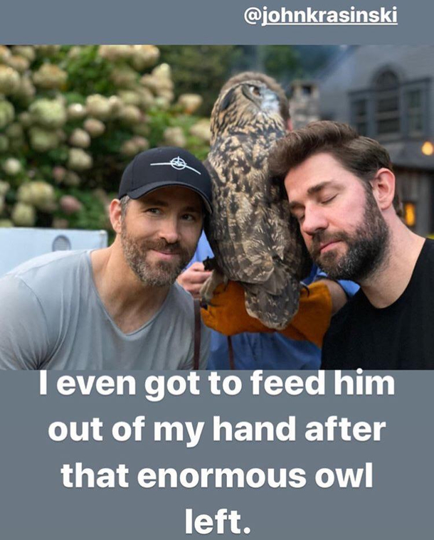 I would love to be that owl WHO wouldnt