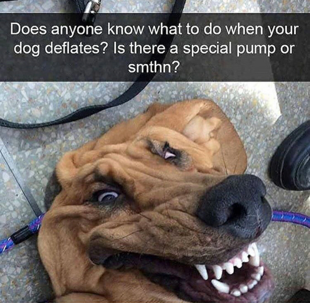 I would use a compressor