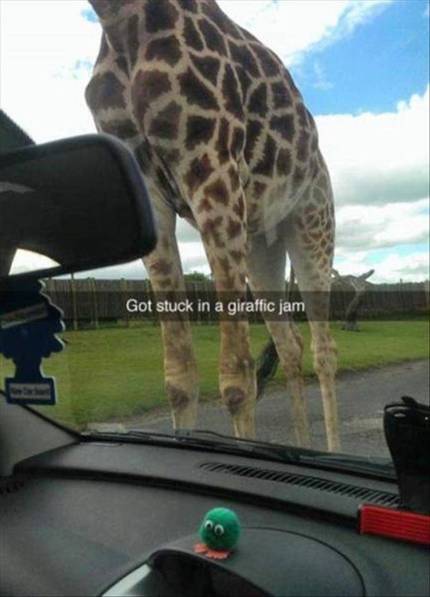 I wouldnt mind being stuck in this jam