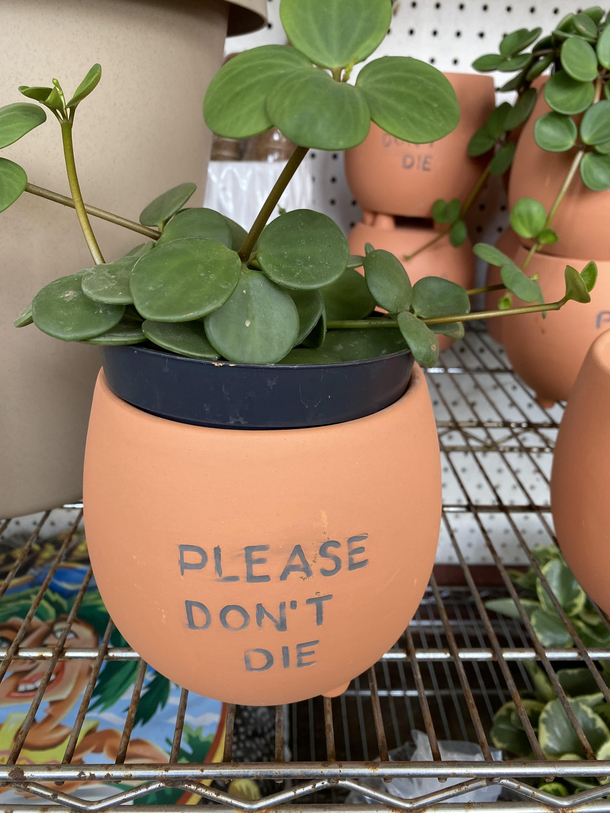 I wouldnt want my life to be put in that pot