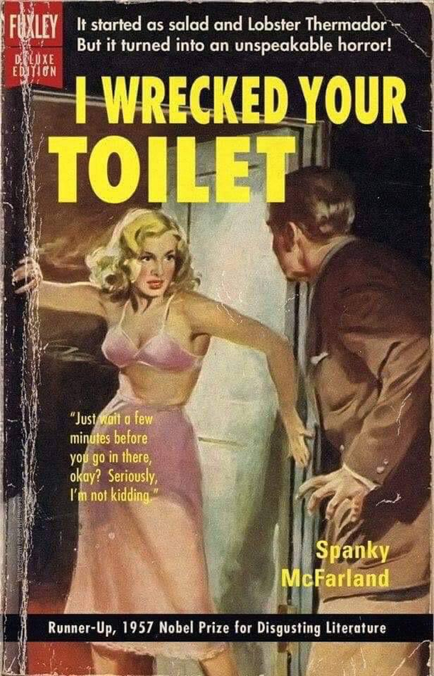 I wrecked your toilet