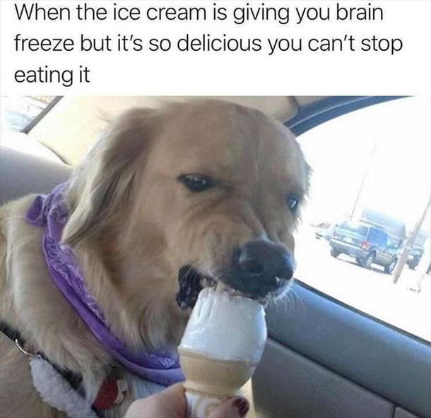 Ice cream - Meme Guy
