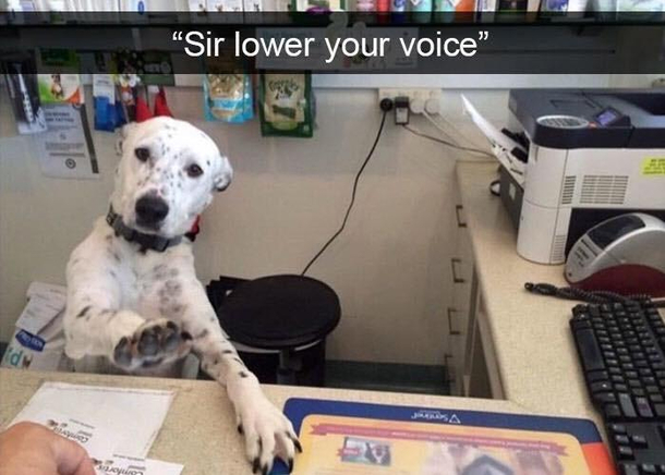 Id like to speak to your human