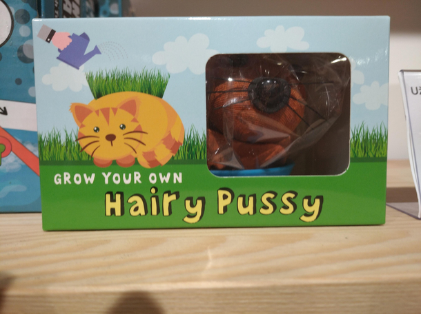 Idk seems kinda odd in a kids toy store