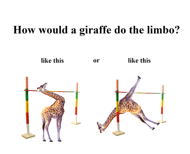 if a giraffe does the limbo