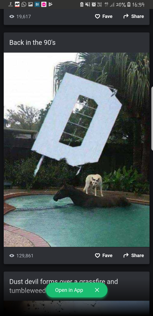 If bojack horseman was real