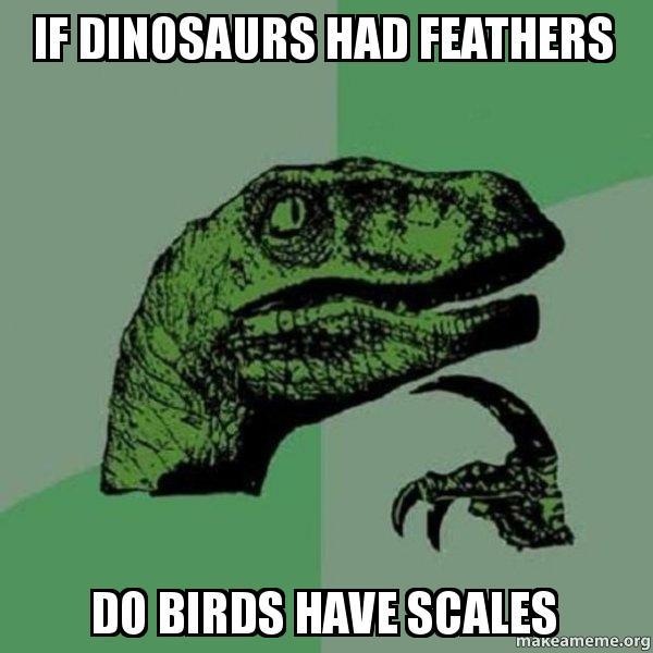 If dinosaurs had feathers