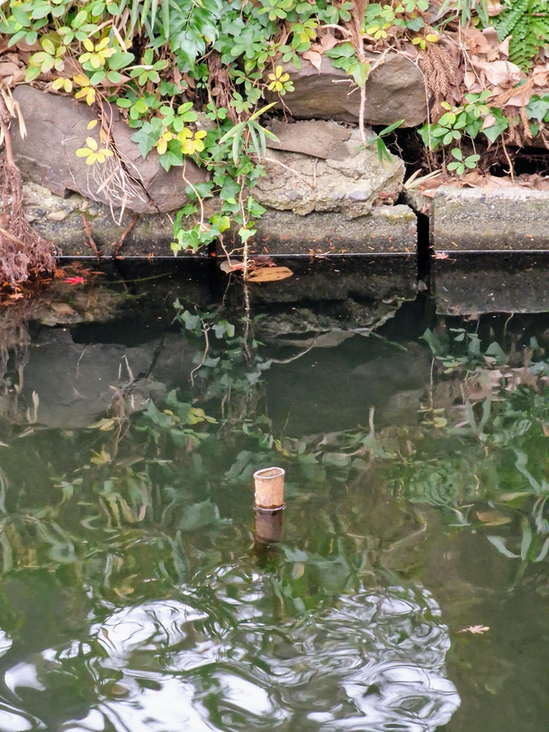 If Disney has taught me one thing its that someone tried to steal some honey and is hiding from the bees now
