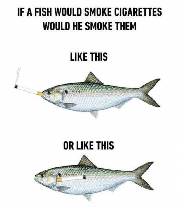 If fish smoked