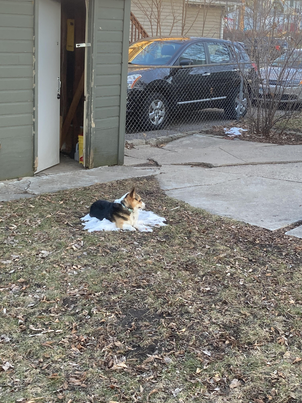 If he fits he sits