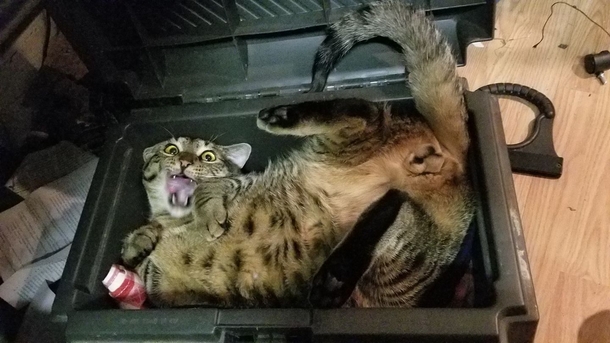 If I fits