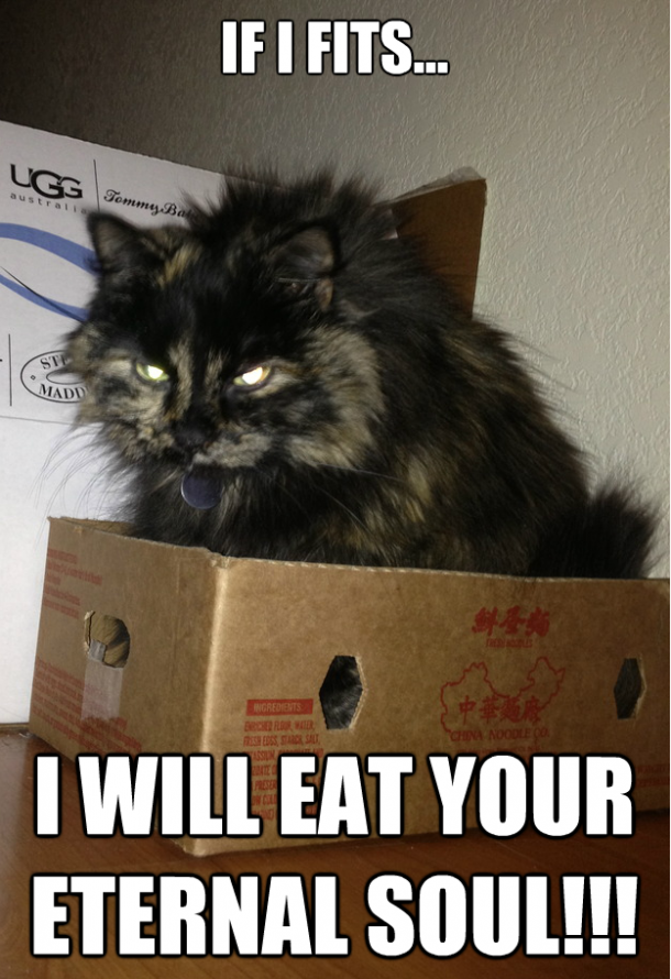 If I fits