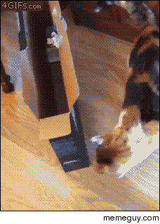 If i fits fuck